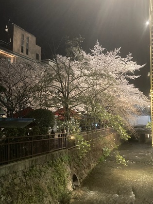 4月6日（水）