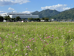 10月16日（水）